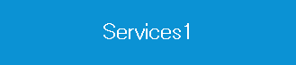 Services1